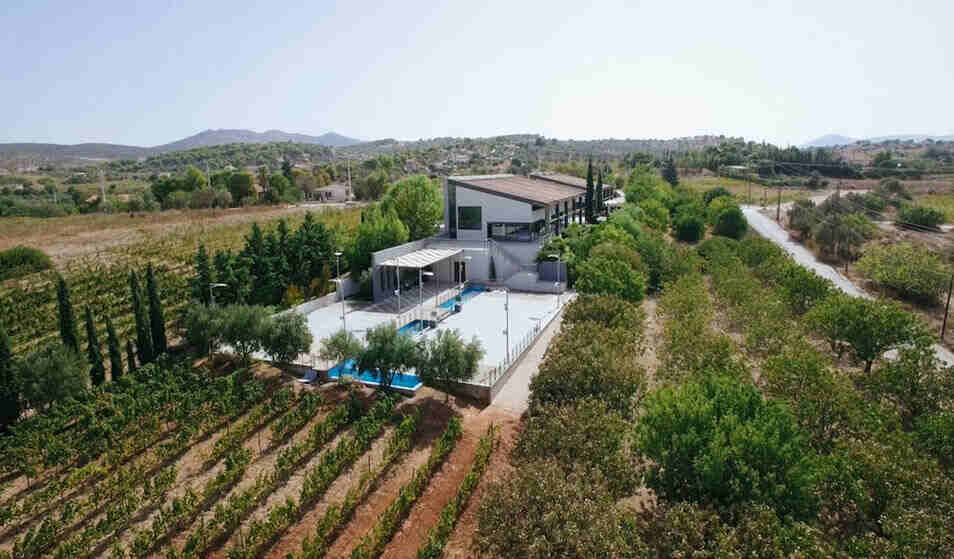 World Wine Tourism Day at Papagiannakos Winery - Gastronomy Tours domaine papagiannakos 1 bsfah 1 1 - Gastronomy Tours